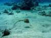 dsc05537_small.jpg
