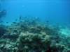 dsc05538_small.jpg