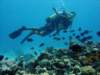 dsc05539_small.jpg