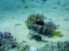 dsc05540_small.jpg