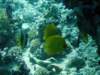 dsc05542_small.jpg