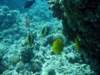 dsc05543_small.jpg