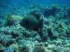 dsc05546_small.jpg