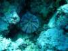 dsc05549_small.jpg