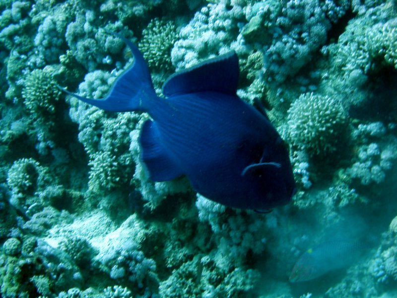 dsc05551.jpg