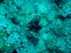 dsc05552_small.jpg