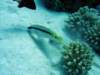dsc05553_small.jpg