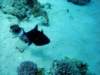 dsc05555_small.jpg