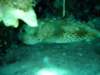 dsc05556_small.jpg