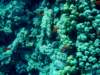 dsc05557_small.jpg