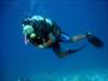 dsc05558_small.jpg
