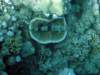 dsc05559_small.jpg
