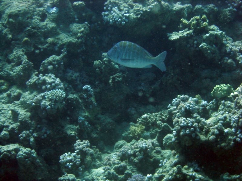 dsc05560.jpg