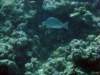 dsc05560_small.jpg