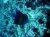 dsc05564_small.jpg