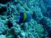 dsc05565_small.jpg