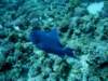 dsc05566_small.jpg