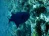 dsc05567_small.jpg