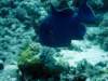 dsc05568_small.jpg