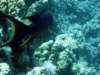 dsc05571_small.jpg