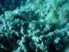 dsc05572_small.jpg