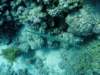 dsc05573_small.jpg