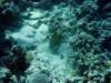 dsc05574_small.jpg