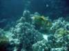 dsc05575_small.jpg