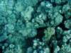 dsc05576_small.jpg