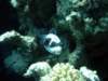 dsc05578_small.jpg