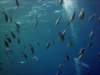 dsc05579_small.jpg