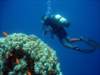 dsc05581_small.jpg
