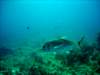 dsc05582_small.jpg