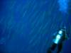 dsc05583_small.jpg