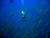 dsc05584_small.jpg