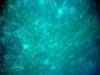 dsc05585_small.jpg