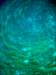 dsc05586_small.jpg