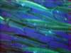 dsc05589_small.jpg