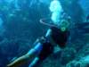 dsc05590_small.jpg