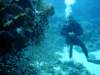dsc05591_small.jpg