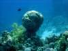 dsc05593_small.jpg