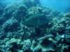 dsc05594_small.jpg
