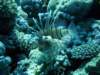 dsc05597_small.jpg