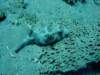 dsc05598_small.jpg