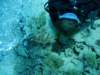 dsc05599_small.jpg