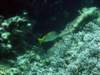 dsc05603_small.jpg