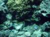 dsc05604_small.jpg