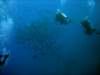 dsc05607_small.jpg