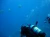 dsc05609_small.jpg