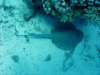 dsc05610_small.jpg